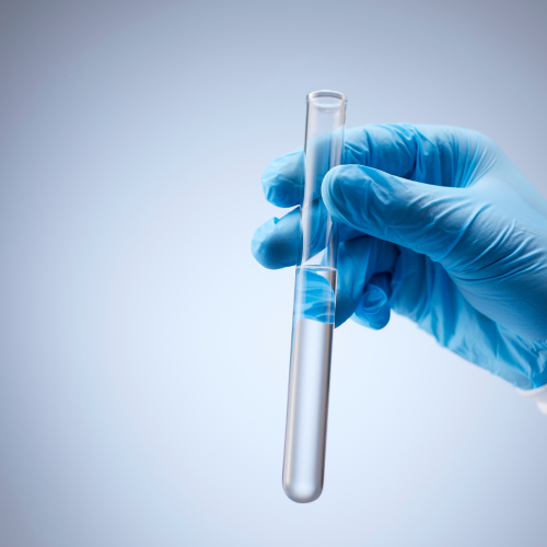 Government & Municipal Authorities